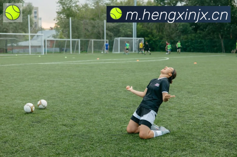 华体网页版在线登入平台生态图