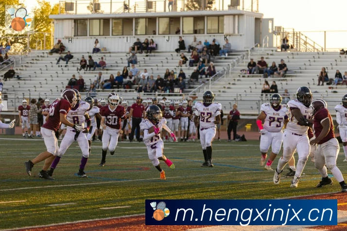 华体网页版在线登入荣誉