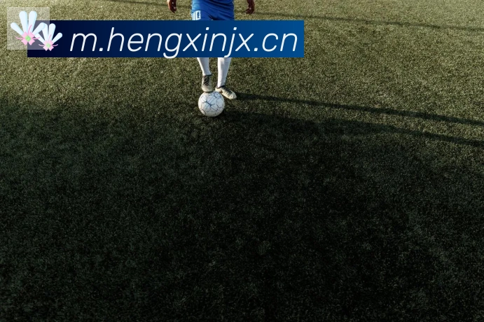 华体网页版在线登入荣誉